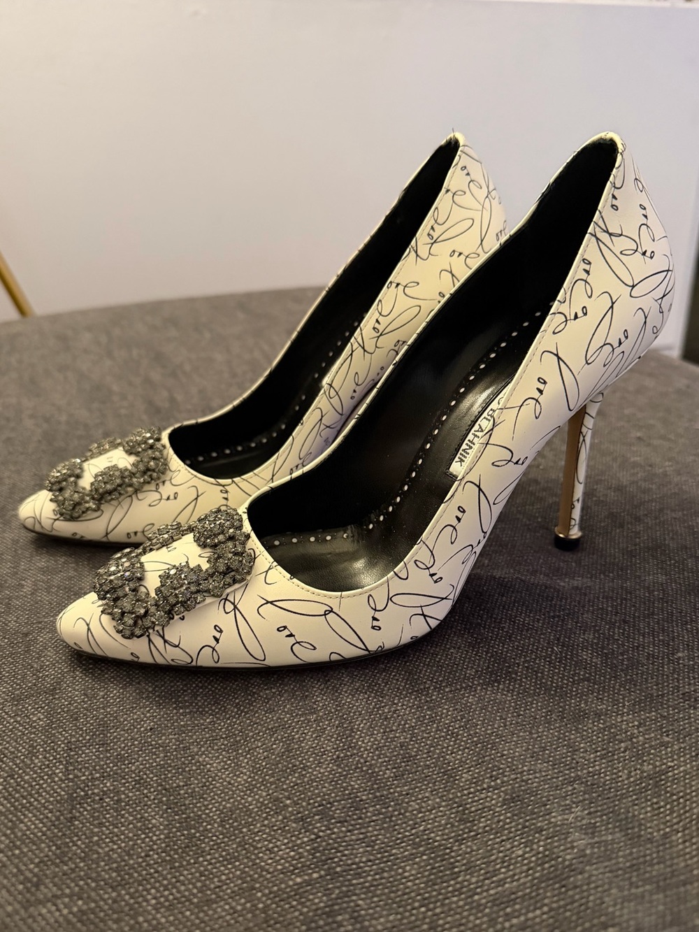 Manolo Blahnik Hangisi 120mm Pumps Heels